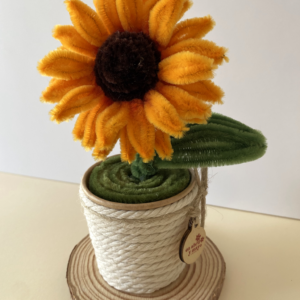 Girasol Dorado