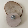 Pin Ginkgo Biloba