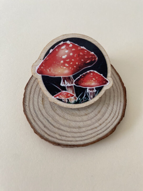 IMG_4488 Pin Amanita Muscaria