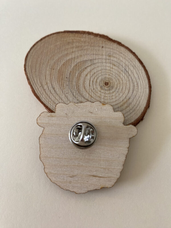 Pin Suculentas