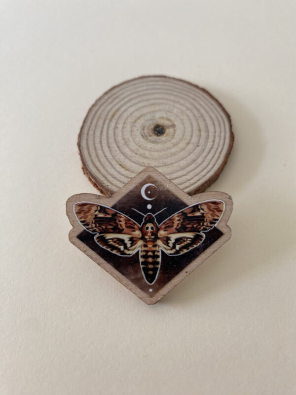 Pin Polilla Acherontia Atropos