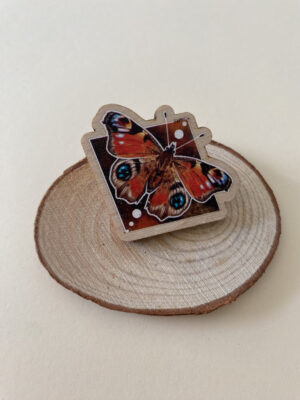 IMG_4511 Pin Mariposa Aglais io