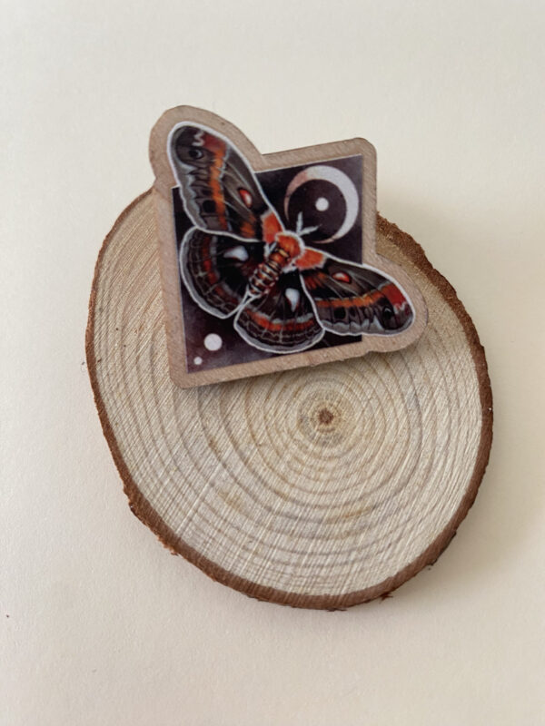 Pin Polilla Hyalophora Cecropia