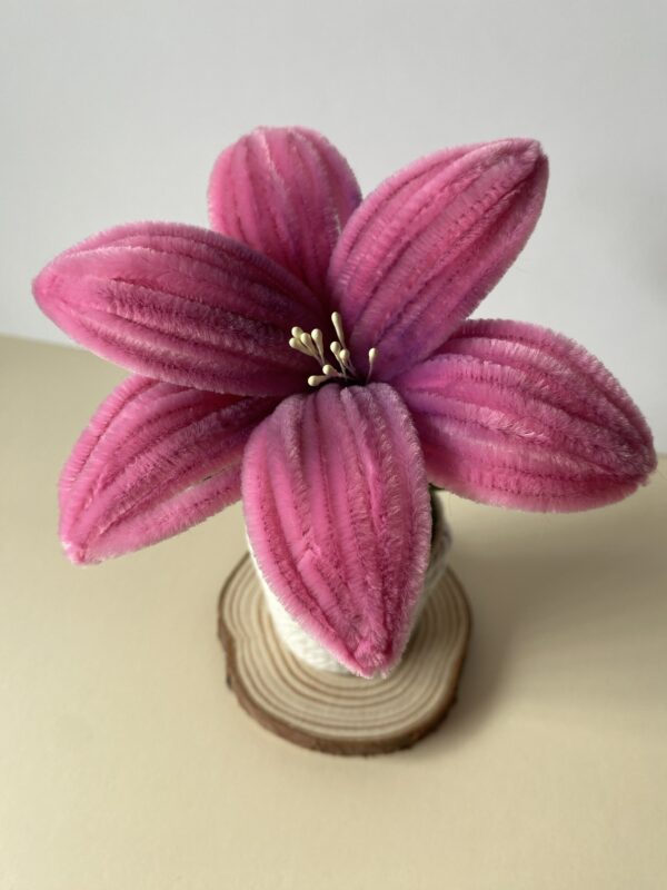 Lirio Rosa