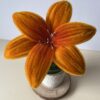 Lirio Naranja