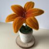 Lirio Naranja