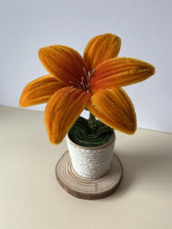 Lirio Naranja