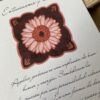 IMG_9897 Gerbera Fucsia
