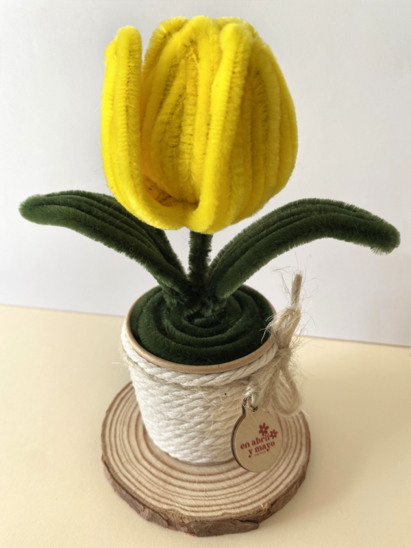 Tulipán Amarillo