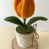 Tulipán Naranja