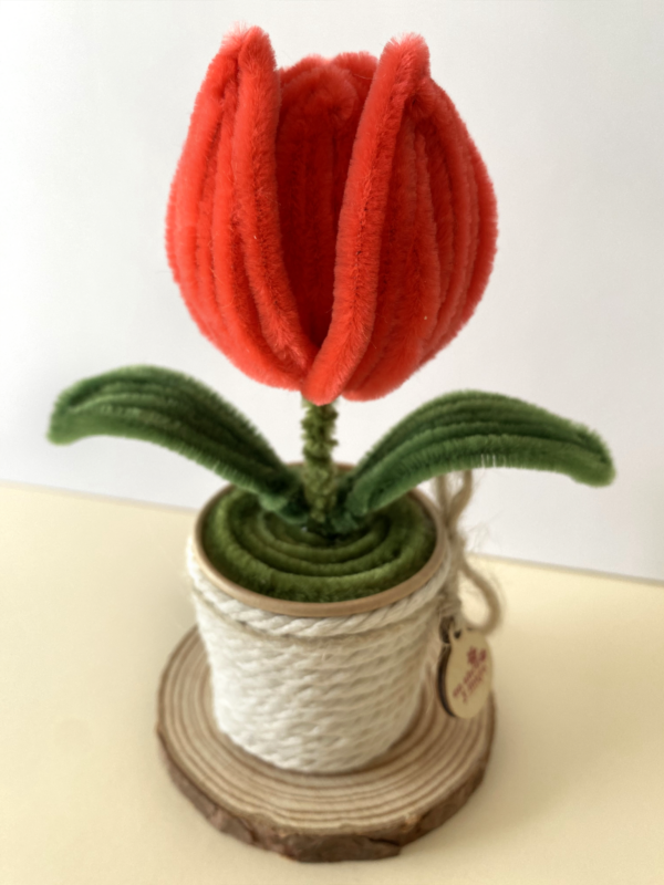 Tulipán Rojo