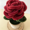 rosagranate2 Rosa Granate