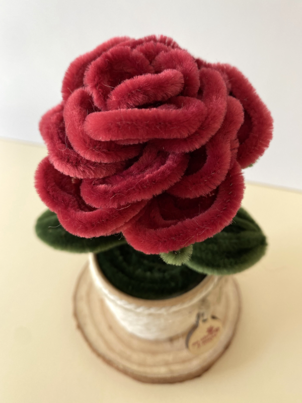 rosagranate2 Rosa Granate