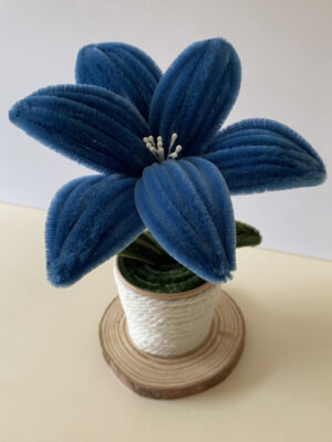 Lirio Azul