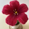 Hibisco Fucsia