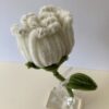 IMG_6001 Rosa Blanca