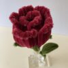 IMG_6020 Rosa Granate