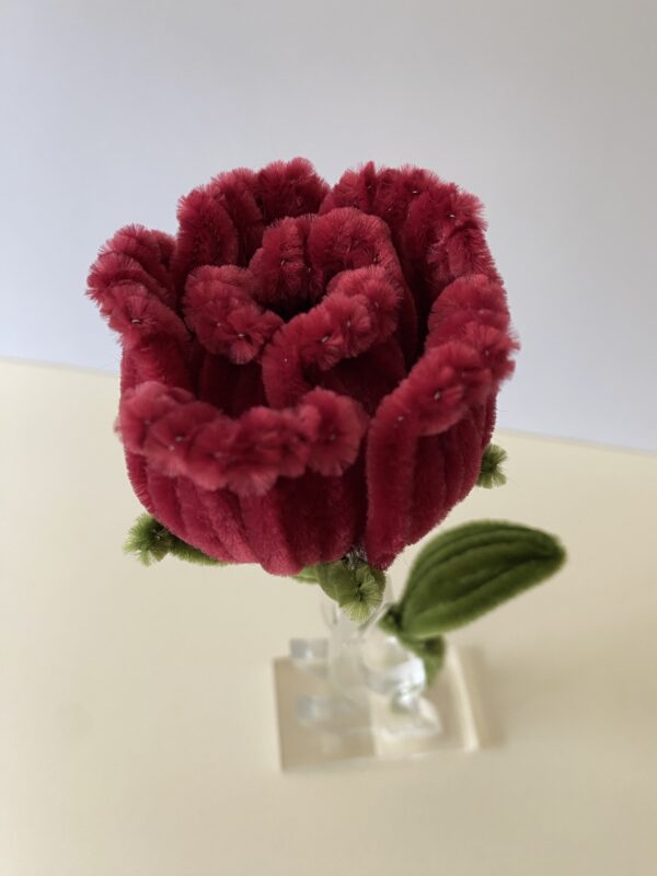 IMG_6020 Rosa Granate