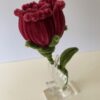 IMG_6021 Rosa Granate