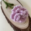 Clavel Rosa