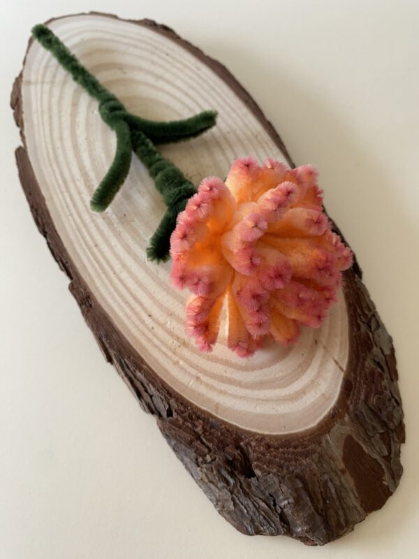Clavel Naranja