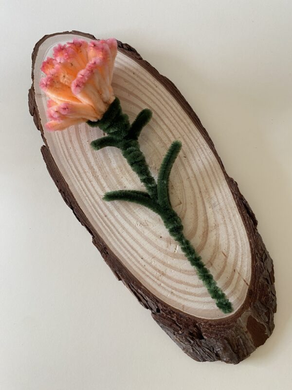 Clavel Naranja