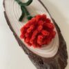 Clavel Rojo