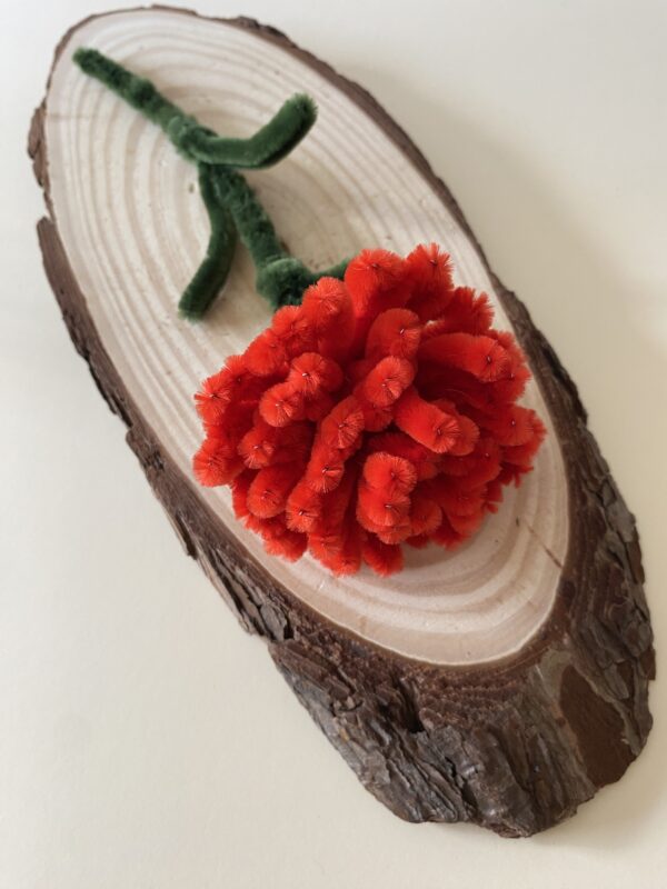 Clavel Rojo