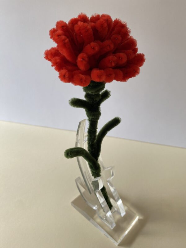 Clavel Rojo