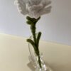 IMG_6035 Clavel Blanco