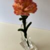 Clavel Naranja