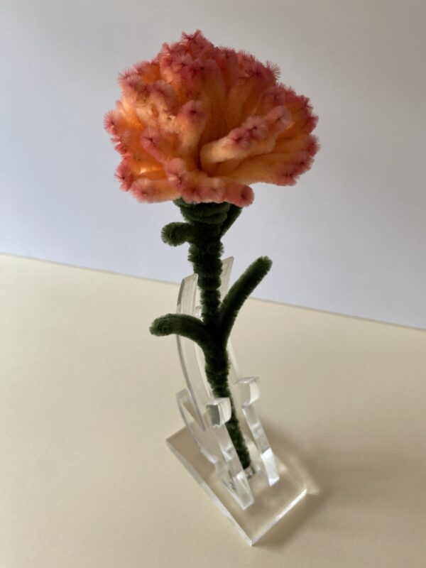 Clavel Naranja