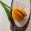 Tulipán Naranja