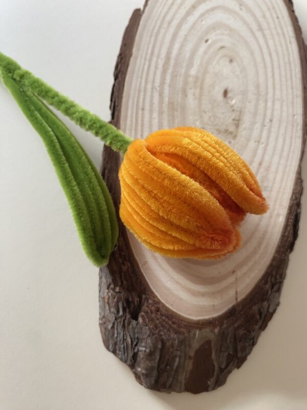 Tulipán Naranja