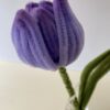 Tulipán Morado