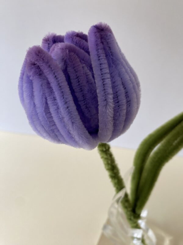 Tulipán Morado