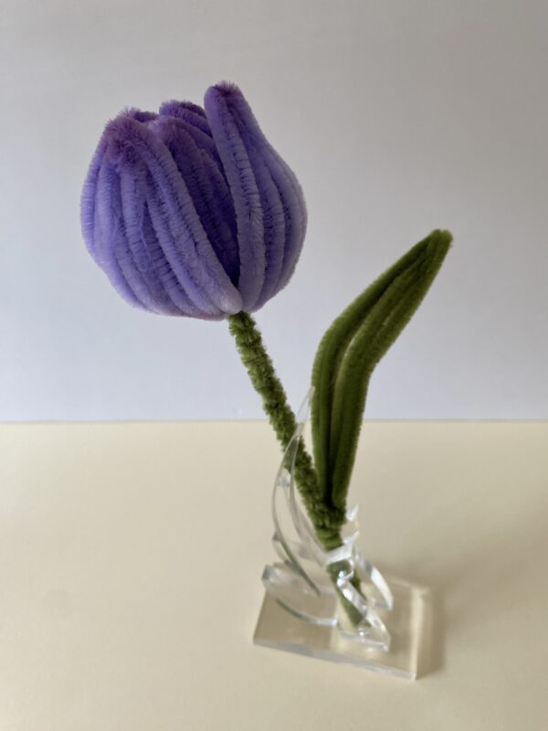 Tulipán Morado