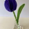 Tulipán Morado oscuro