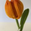 Tulipán Naranja