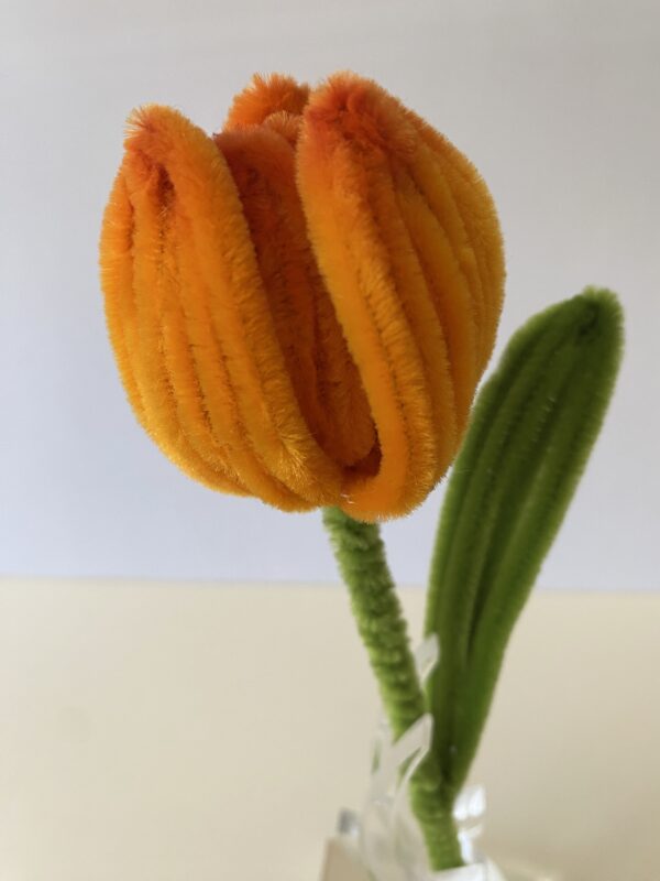 Tulipán Naranja