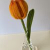 Tulipán Naranja