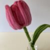 IMG_6103 Tulipán Rosa