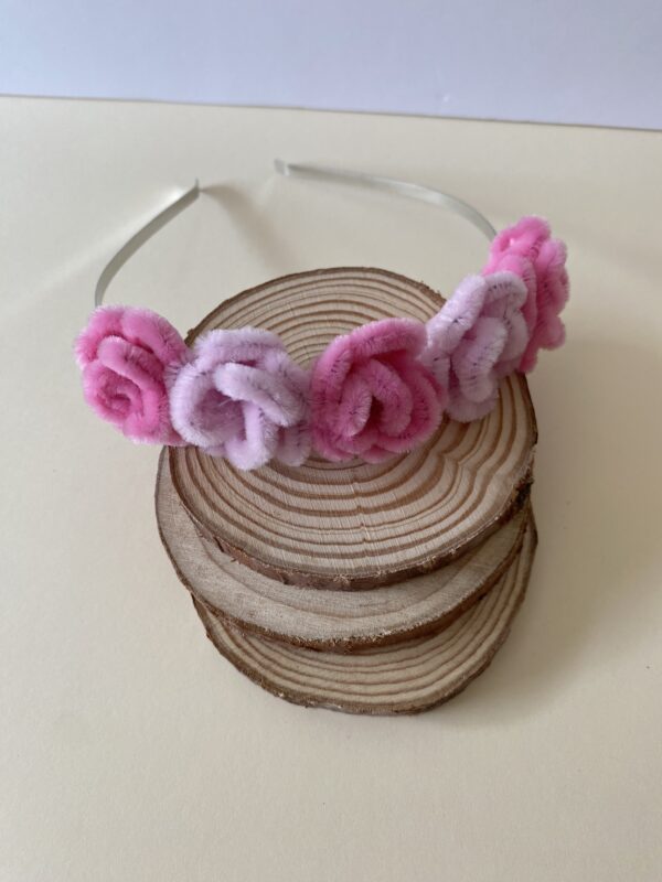 IMG_6121 Diadema Rosa