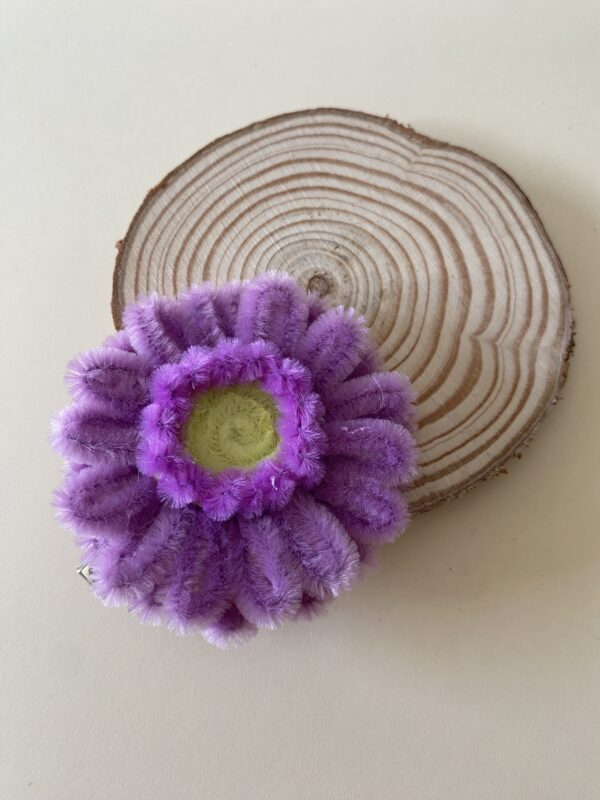 IMG_6168 Pinza Morada