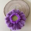 IMG_6169 Pinza Morada