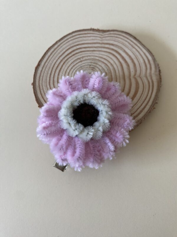 IMG_6176 Pinza Rosa