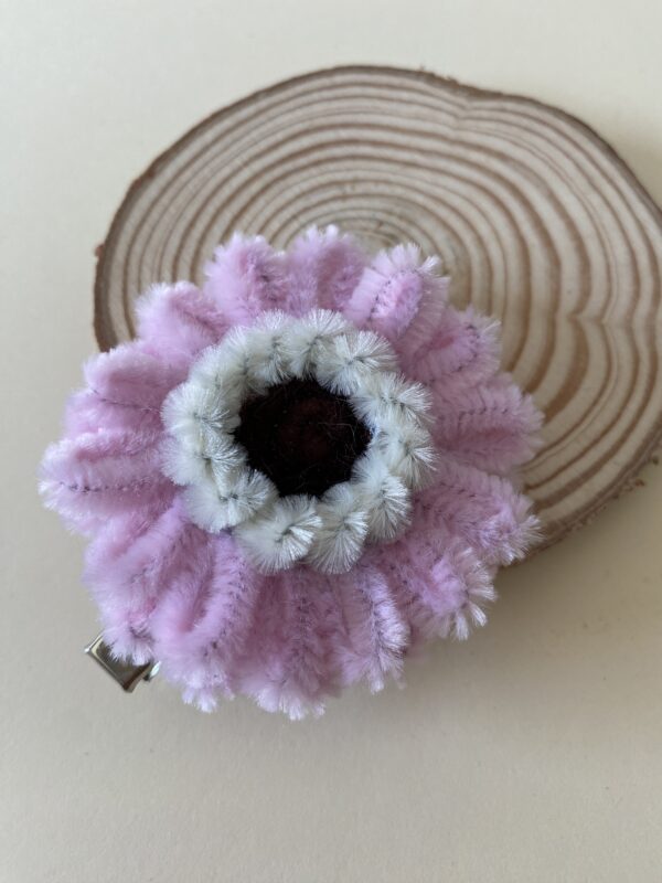 IMG_6177 Pinza Rosa