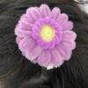 IMG_6185 Pinza Morada