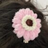 IMG_6190 Pinza Rosa