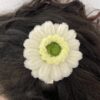 IMG_6197 Pinza Blanca